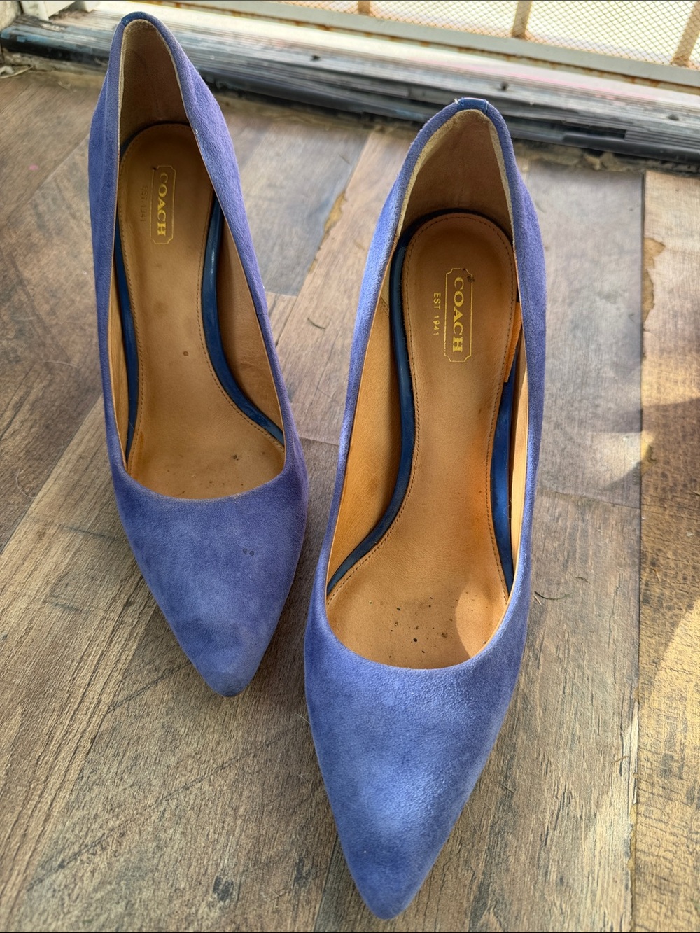 Coach Purple Suede Pointed-Toe Heels